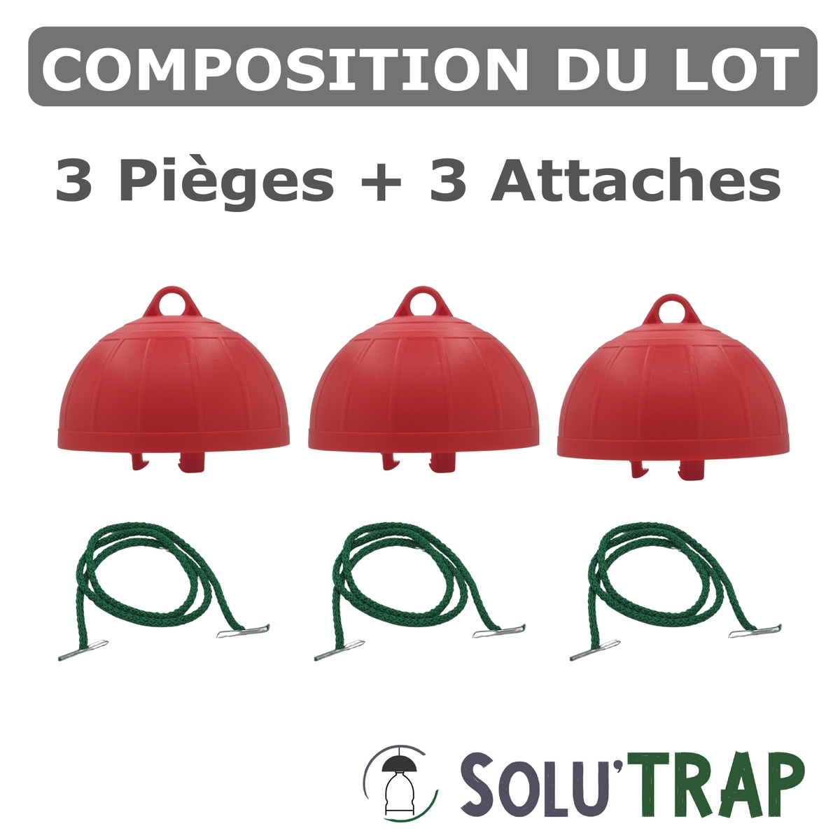 Piège à bouteille universel Rouge pour la mouches de la Cerise et Fruits Rouges - SOLU